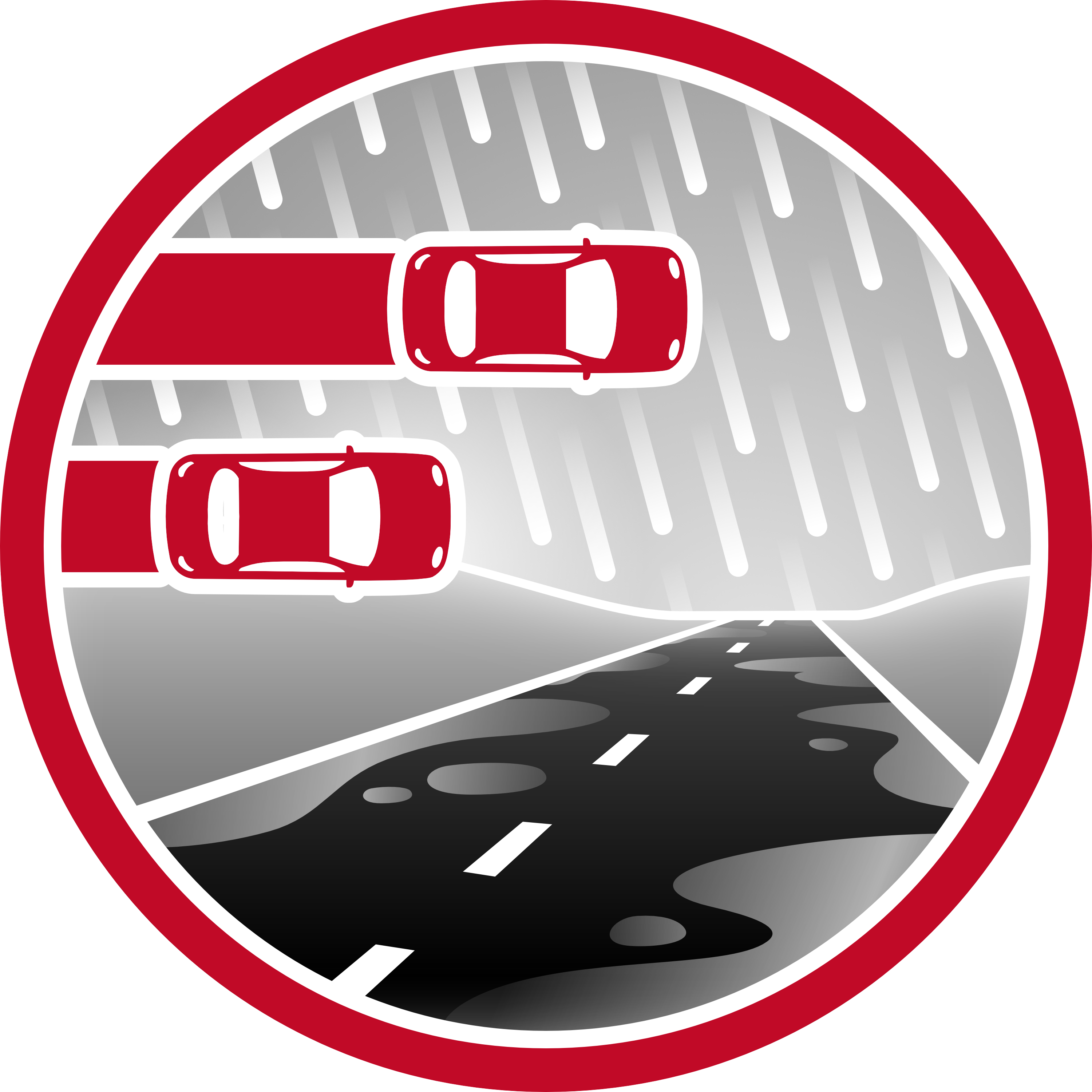 Braking Wet Icon Braking Icon