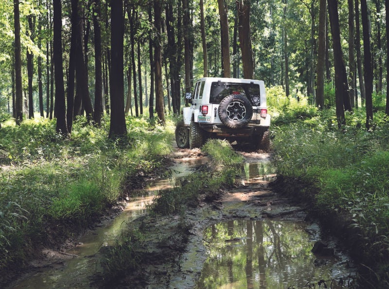 Jeep in Mud 1 .